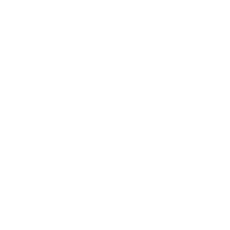 ce logo Berwyn