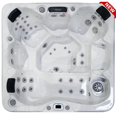 Costa-X EC-749LX hot tubs for sale in Berwyn