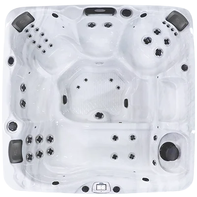 Avalon-X EC-840LX hot tubs for sale in Berwyn