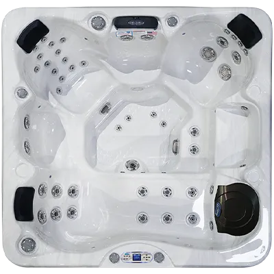 Avalon EC-849L hot tubs for sale in Berwyn
