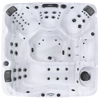 Avalon EC-867L hot tubs for sale in Berwyn