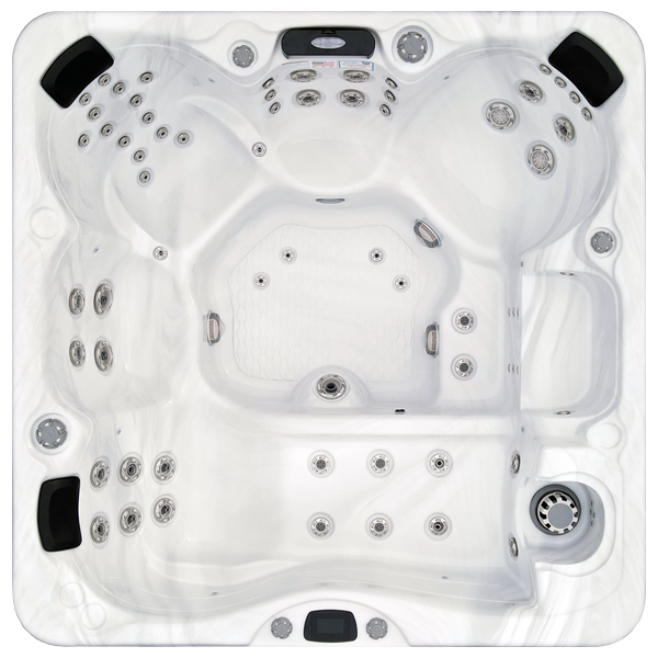 Avalon-X EC-867LX hot tubs for sale in Berwyn