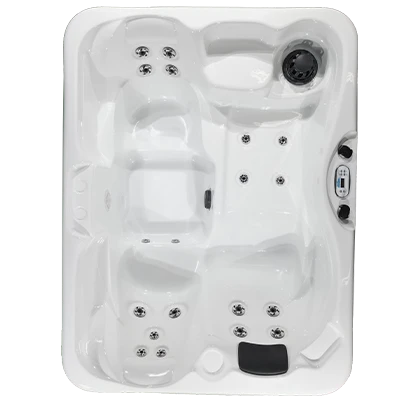 Kona PZ-519L hot tubs for sale in Berwyn