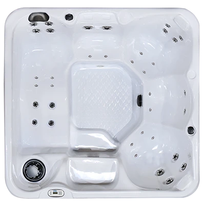 Hawaiian PZ-636L hot tubs for sale in Berwyn